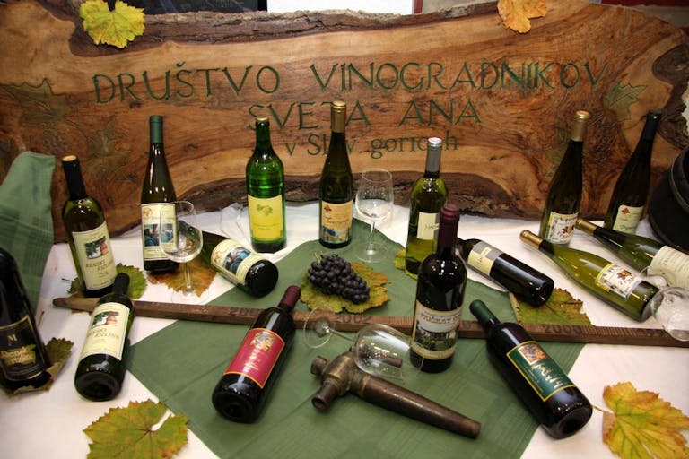 DRUŠTVO VINOGRADNIKOV